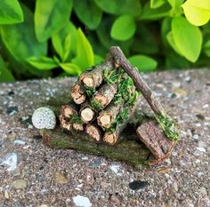 a pile of logs sitting on top of a cement ground next to green plants and rocks