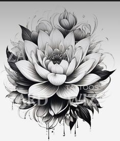 a black and white drawing of a large flower with leaves on the bottom half of it