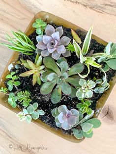 there are succulents that are in the planter on the wooden table