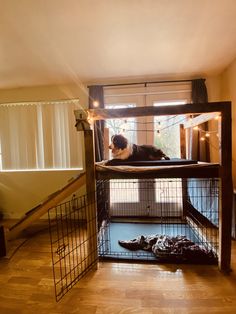 a dog laying on top of a cage in a room