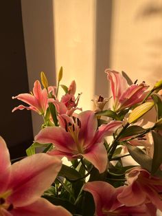 pink lilies are in a vase on the window sill, with green leaves