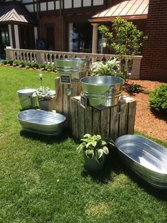 an image of some plants in buckets on the grass