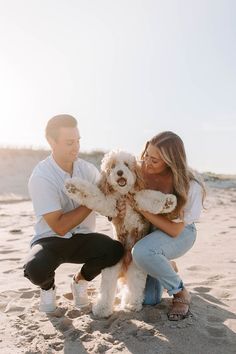 a man and woman sitting on the beach with their dog, who is holding his stuffed animal