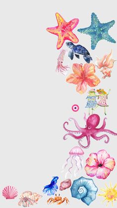 an octopus, starfish and other sea creatures floating in the air