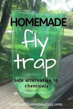 a green plastic cup with the words homemade fly trap on it, and an image of trees in the background