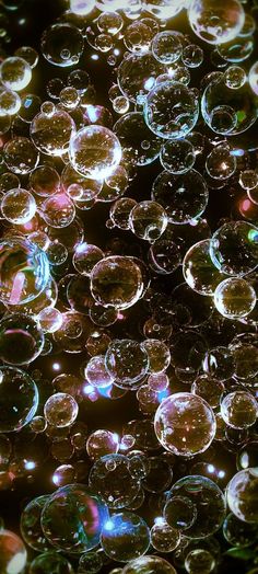 many bubbles are floating in the air