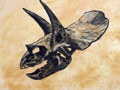 a drawing of a dinosaur skull with long horns