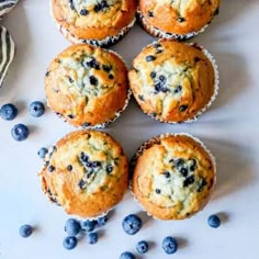 blueberry muffins with fresh blueberries on the side