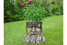 a tree stump with a plant growing out of it's face in the grass