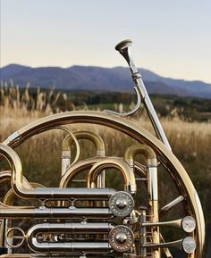 an old brass french horn in the middle of a field with mountains in the background