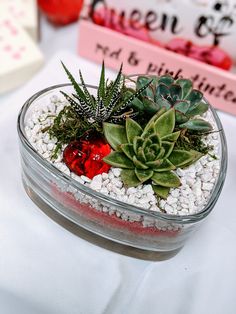 a glass container filled with succulents and rocks on top of a table