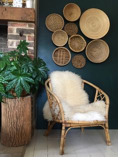 a chair sitting next to a potted plant in front of a wall with baskets on it