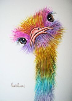 an ostrich painting is featured on the instagram page