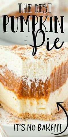 the best pumpkin pie it's no bake