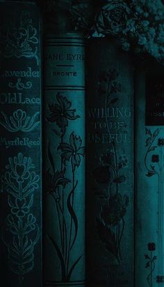 the books are lined up on the shelf in the dark, and there is no image to describe