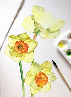 watercolor painting of yellow daffodils on white paper with paintbrushes