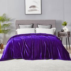 a bed with purple comforter and pillows in a room next to a potted plant