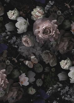 a bunch of flowers that are in the dark ground with one flower on it's side