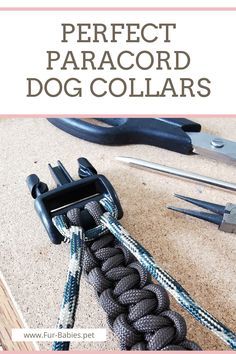 there is a dog collar on the ground next to scissors and pliers with text overlay that reads perfect paracord dog collars