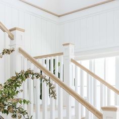 a white staircase with wooden handrails and plants