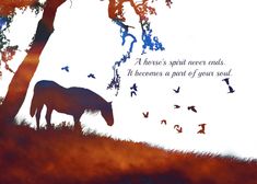 Equine, Horse Sympathy for Loss of Horse Spiritual card Sympathy Card Messages, Heartfelt Condolences, Horse Memorial, Horse Cards, Memorial Cards, Animal Accessories, Card Messages