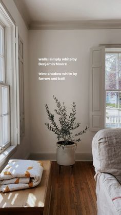 a bed sitting next to a window and a plant in a vase on top of a table