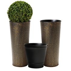 two vases with plants in them sitting next to each other on a white background