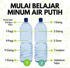 Minum Air, Diet Sehat, Motivasi Diet, Resep Diet, Healthy Diet Tips, Bodyweight Workout Beginner, Health Knowledge, Healthy Diet Recipes, Health Skin Care