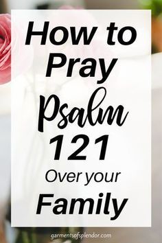 pink roses in a vase with text overlay how to pray psalm 12 1 over your family