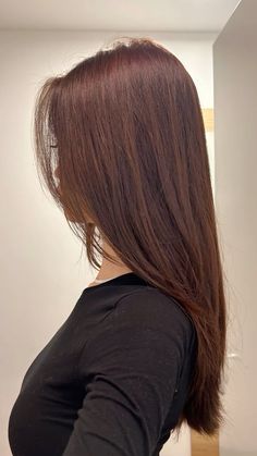 #hairstyles #haircut #brownhairbalayage #hair Brown Hair Dye Inspiration, Light Brown Cherry Hair Color, Red Tinged Brown Hair, No Dye Hair Color, Highlights Reddish Brown Hair, Brown Hair Colors With Red, Asian Hair Colour Ideas, Auburn Highlights Brown Hair, Red Hair On Dark Brown Hair