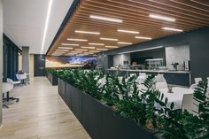 an office with plants in the middle of it and lights above them on the ceiling