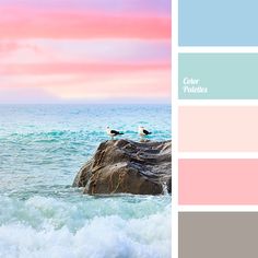 the color palette is blue, pink and green with seagulls sitting on rocks in the water