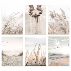 PRICES MAY VARY. ✔ Unique style - The combination of neutral beige colors and nature botanical makes the poster look more harmonious. The wind on the beach gently blows flowers and grass. Using this set of nature botanical beach wall art prints for wall decoration will give the room a soft and aesthetic atmosphere. ✔ Use more textured materials - These pictures printed on canvas, which have tidy and clear veins. The biggest advantage of the canvas material is that it makes the poster look more t Leave Wall Decor, Aesthetic Atmosphere, Living Room Aesthetic, Landscape Posters, Aesthetic Landscape, Photo Wall Decor, Scenery Photos, Landscape Poster, Neutral Beige