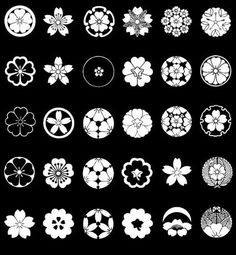 an assortment of circular and flower design elements, all in white on black background illustration