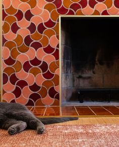 a cat laying on the floor in front of a fire place with an orange and red wall