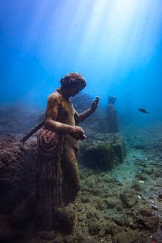 the statue is under water and surrounded by corals