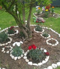 a garden with flowers and rocks in the center, surrounded by a small tree trunk