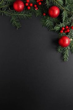 evergreen branches with red balls and berries on black background, top view space for text