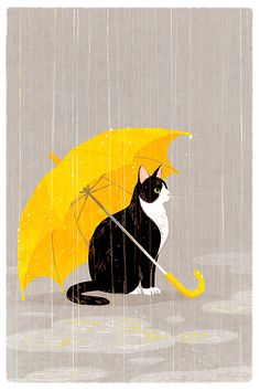 a black and white cat sitting on the ground under an open umbrella in the rain