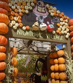 pumpkins and gourds decorate the entrance to night market village