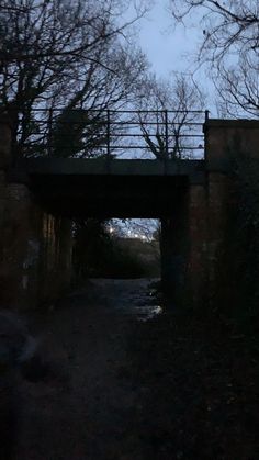 a bridge over a dirt road with trees and bushes on both sides at night time