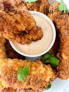 fried chicken rings with dipping sauce and parsley garnish on the side, ready to be eaten