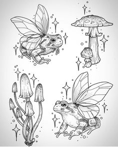 three different types of insects and toads in black ink on white paper with mushrooms