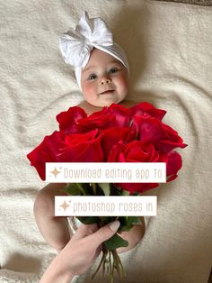 a person holding a bouquet of red roses in their hand and the caption reads, download editing app to photoshop roses in