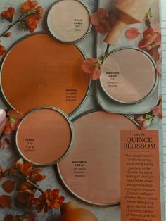 an article in a magazine with oranges and pinks on the bottom half of it