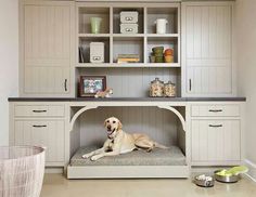 a dog laying on top of a bed in a room with built - in cabinets