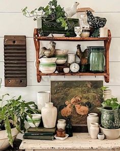 there are many potted plants and other things on the shelf next to each other