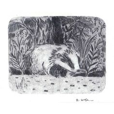 a drawing of a badger on the ground in front of some trees and plants,