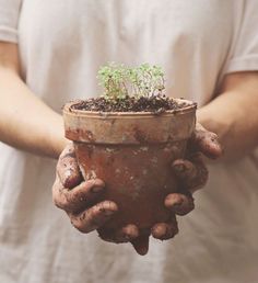 a person holding a potted plant with dirt on it and the words, the glory of gardening hands in the dirt, head in the sun heart with nature