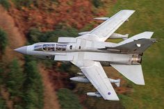 a fighter jet flying through the air with trees in the backgroud and grass behind it